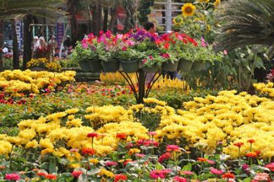 昔今的河内花市